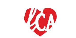 Allcare Home Health Agency, Inc.